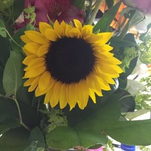 Meet your Posher, Denise